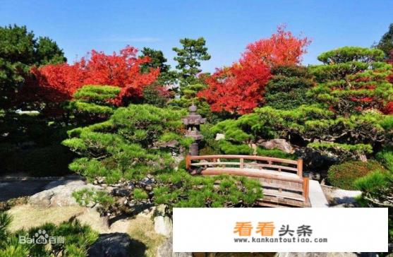 福冈及周边有什么好玩 福冈及周边有什么好玩