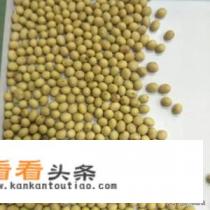 自制发豆芽的家常做法