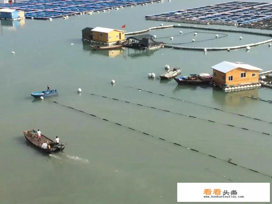 从未见过大海,5月份想去海边旅游,福建哪里海干净 从未见过大海,5月份想去海边旅游,福建哪里海干净