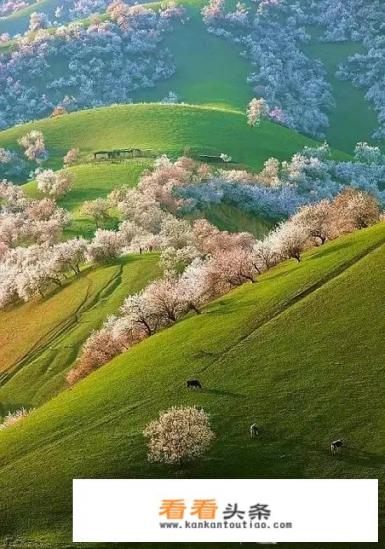 车里能放佛像摆件吗 车里能放佛像摆件吗