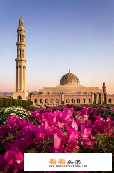 2019美国国家地理最受欢迎的旅游目的地国家