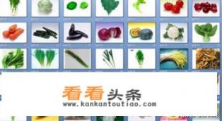 蔬菜名称大全