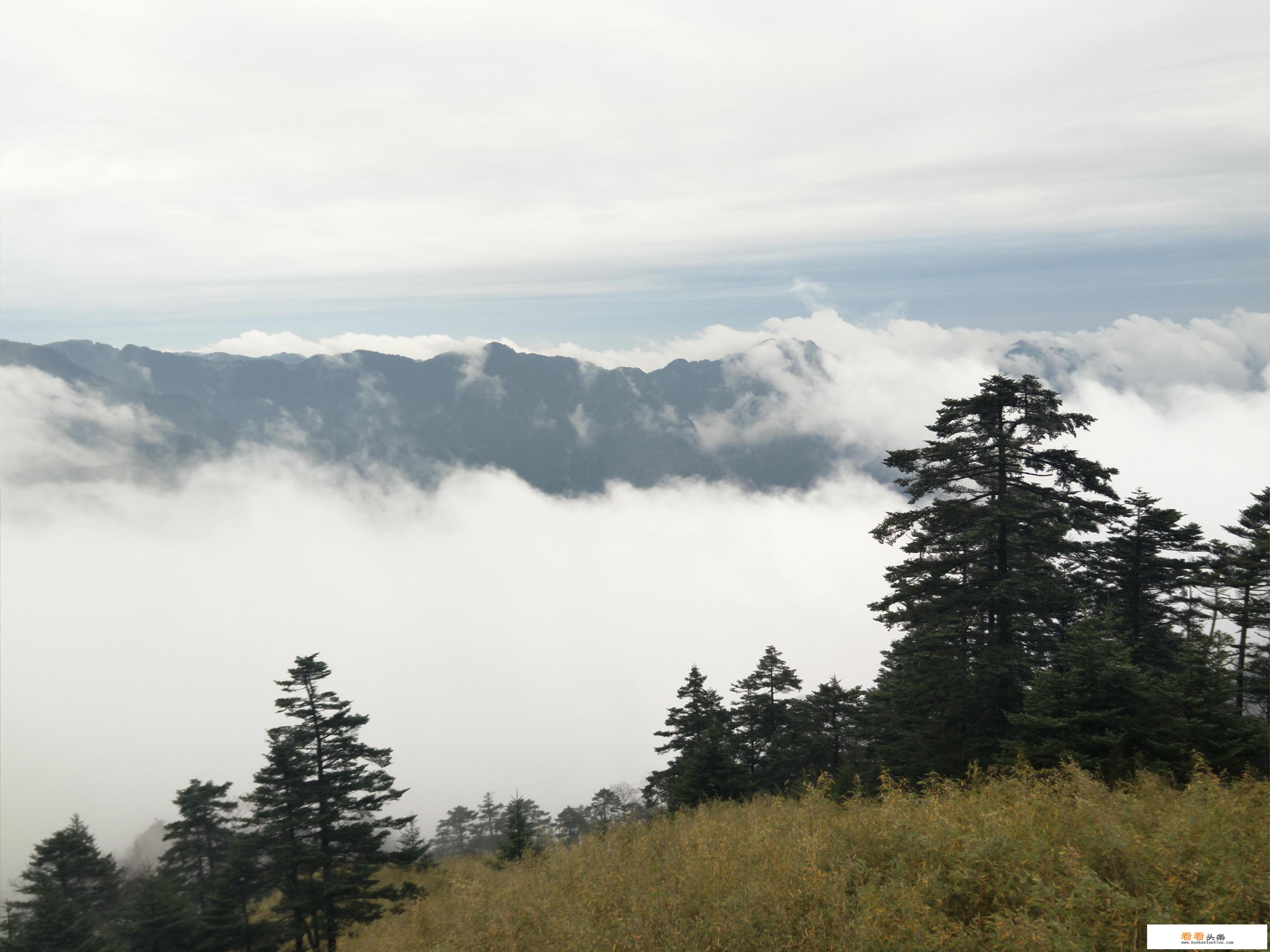 神农架6个景点两天游玩顺序