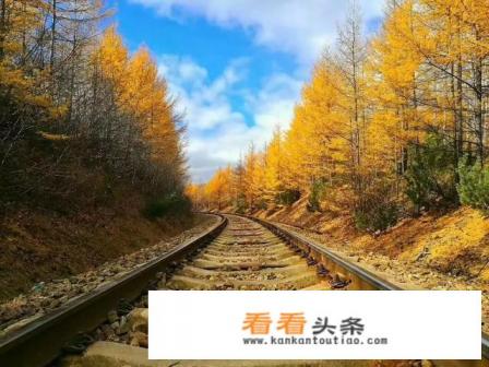 现在天气炎热，最适合到什么地方旅游