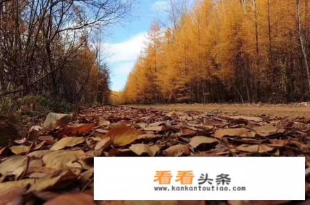 现在天气炎热，最适合到什么地方旅游