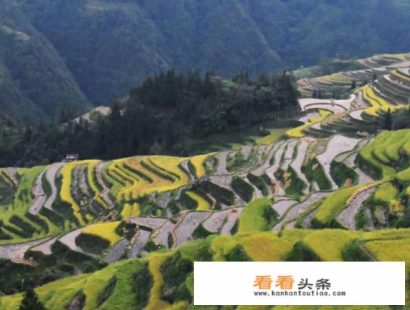 什么地方旅游好玩又具有民族特色？谢谢