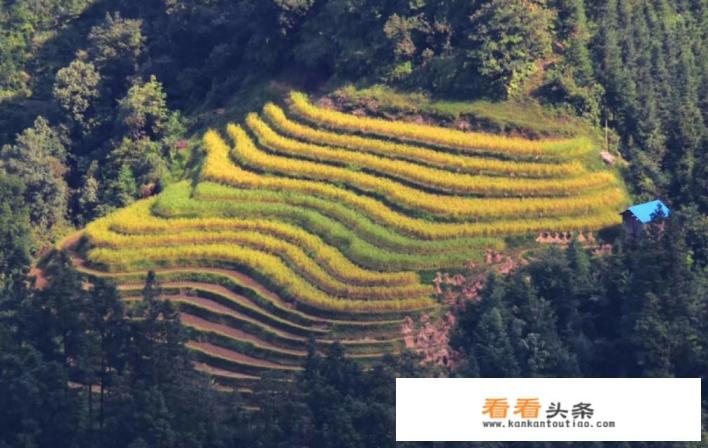 什么地方旅游好玩又具有民族特色？谢谢