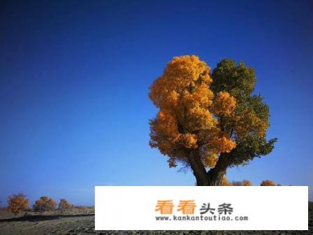 11月份新疆什么地方适合去旅游