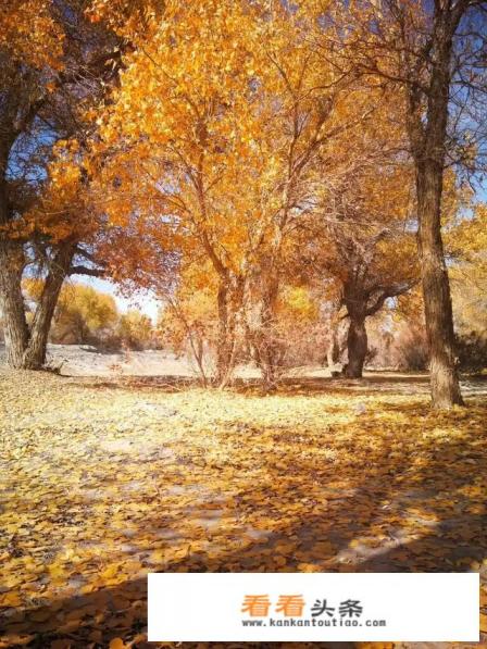 11月份新疆什么地方适合去旅游