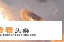 不洗面不活面凉皮简单做法