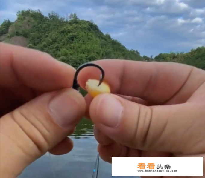 公认钓鳊鱼的最快 *** 