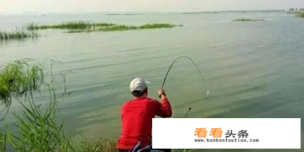 公认钓鳊鱼的最快 *** 
