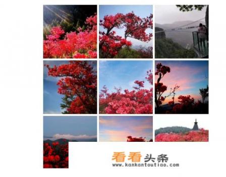 什么地方的风景好 什么地方的风景好