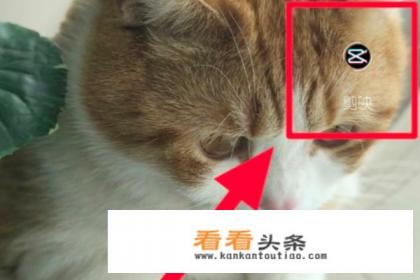 剪映怎么搜索视频