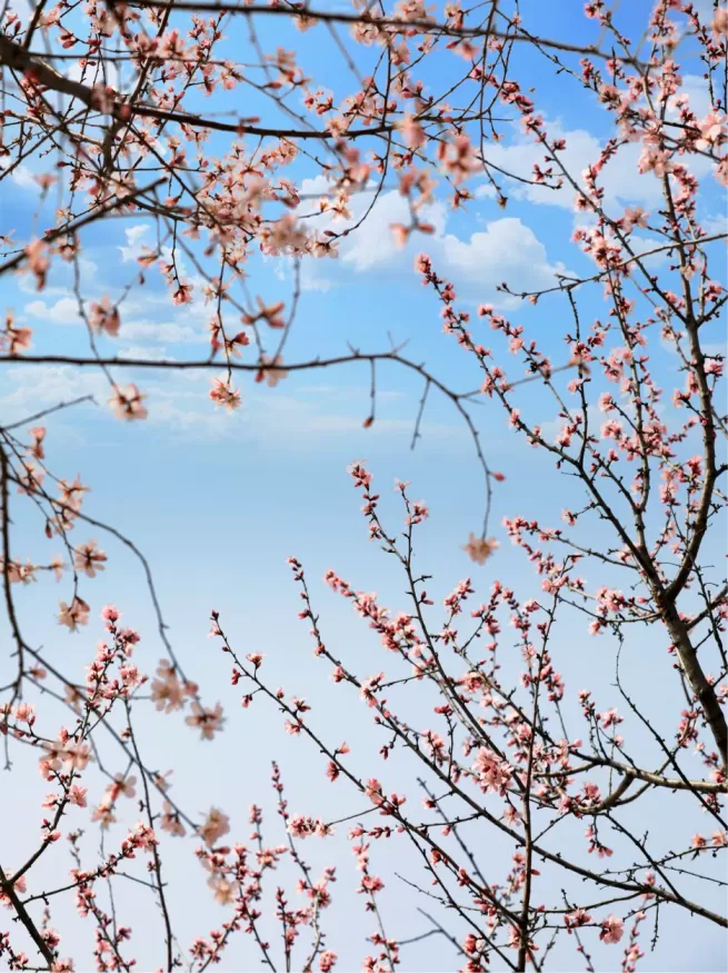 求推荐几款好用的手机p图软件 求推荐几款好用的手机p图软件