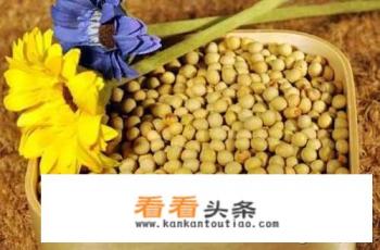 有没有人吃过超级硬的零食,经得起咀嚼的硬零食有哪些 有没有人吃过超级硬的零食,经得起咀嚼的硬零食有哪些