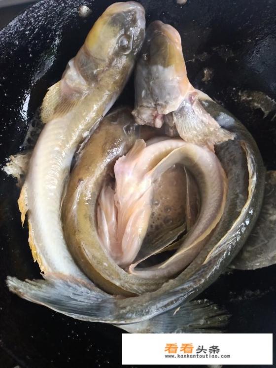 海楞巴鱼炖豆腐的做法