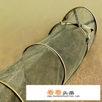 河虾抓捕妙招 河虾抓捕妙招