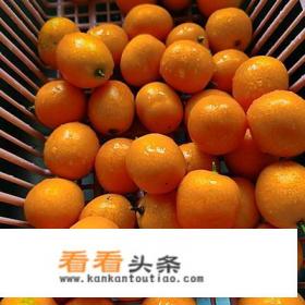 金桔蜂蜜膏 *** *** 金桔蜂蜜膏 *** ***