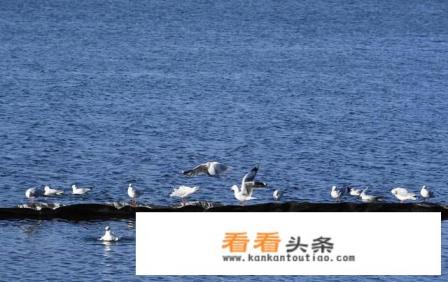 男女朋友出去旅游的费用如何分担