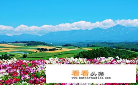 去日本旅游哪里比较好 去日本旅游哪里比较好