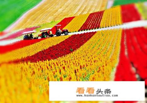 去日本旅游哪里比较好 去日本旅游哪里比较好