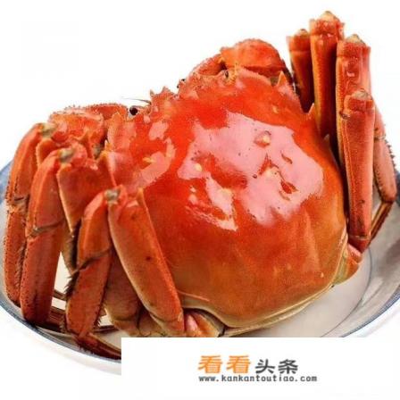中秋节到了要送礼,如何才能团购到正宗阳澄湖大闸蟹 中秋节到了要送礼,如何才能团购到正宗阳澄湖大闸蟹