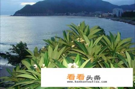 深圳南澳西冲海滩旅游攻略