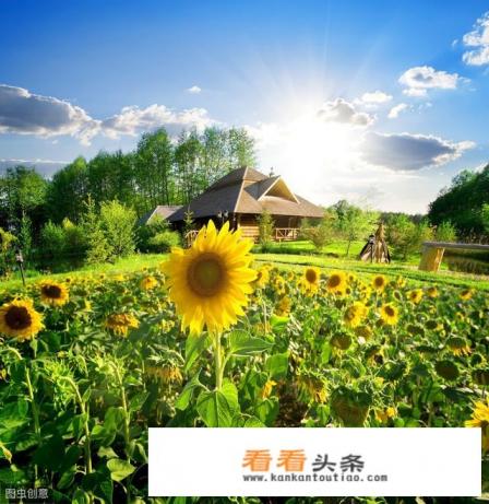 德国的建筑学家设计了一种向日葵式旋转房屋，它的功能是什么