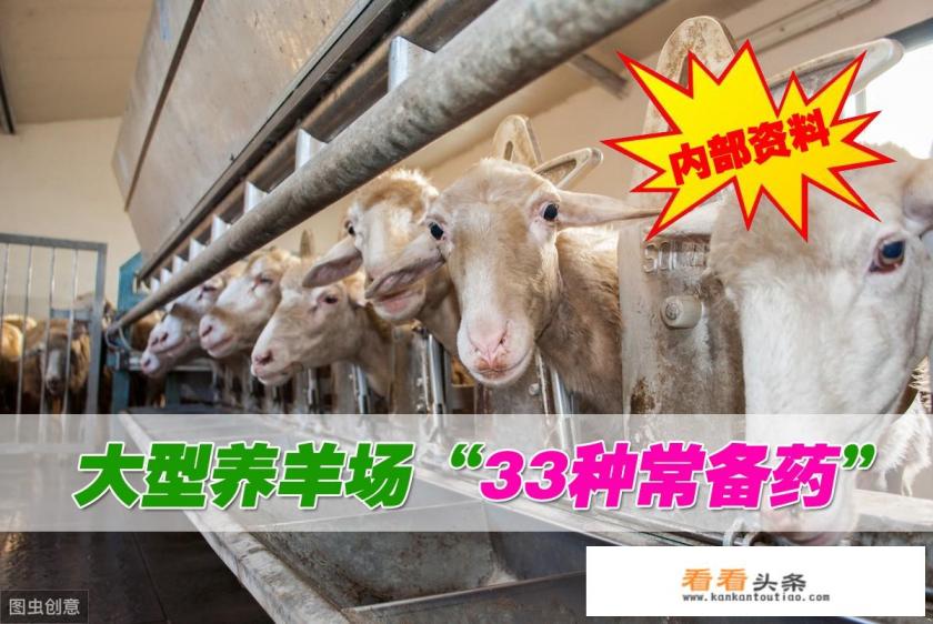 我想了解一下什么是羊病