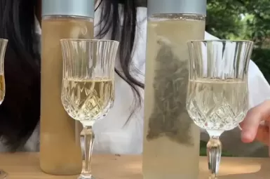 冷泡茶的正确冲泡方式