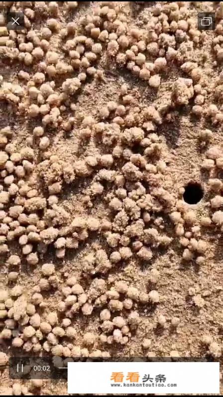 我家在山东淄博，过两天想出去旅游，大概两三天，去哪比较好