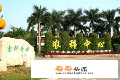 带你玩转深圳20个免费好玩景点