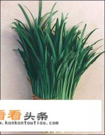 韩国腌韭菜的做法