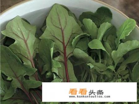 沙拉酱拌菜怎样调