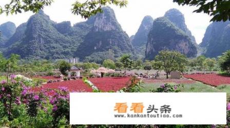 暑假带小孩去桂林怎么玩