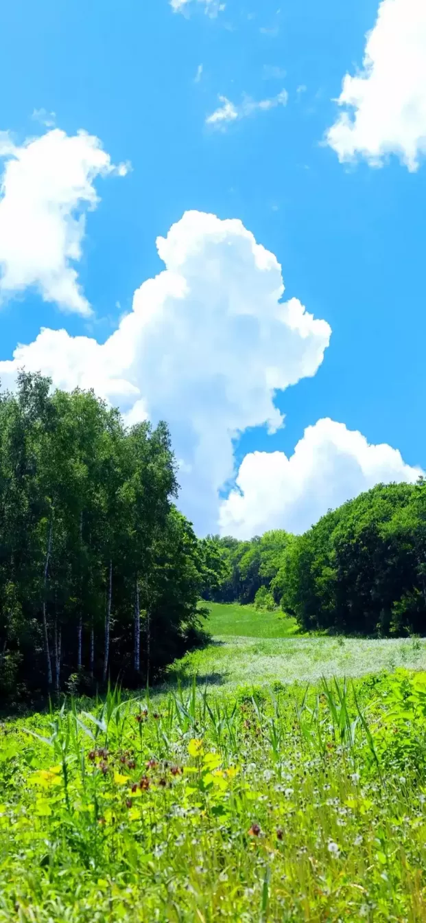 神农架茨介坪附近景点