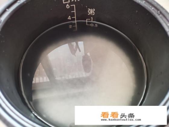 西红柿粥电饭煲的做法