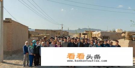 山海情播放安排