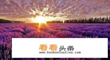 国外有哪些情侣旅游胜地