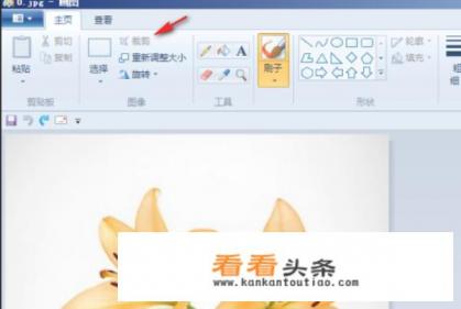电脑系统自带的画图软件如何裁剪图片 电脑系统自带的画图软件如何裁剪图片