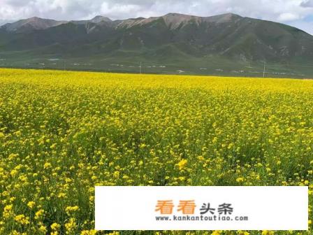 如何开办一家旅游公司 如何开办一家旅游公司