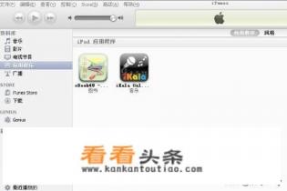 如何在 iPad 授权