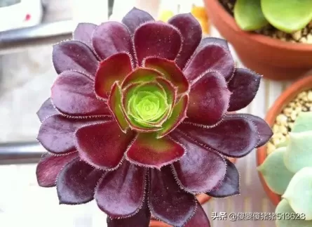 西游记的全部路线