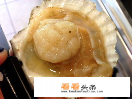 蒜蓉扇贝汁怎么做