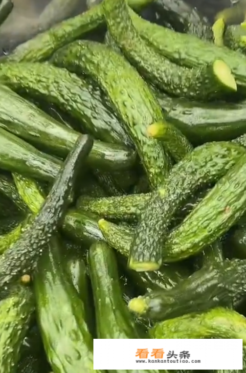 酸黄瓜的正宗腌制 *** 