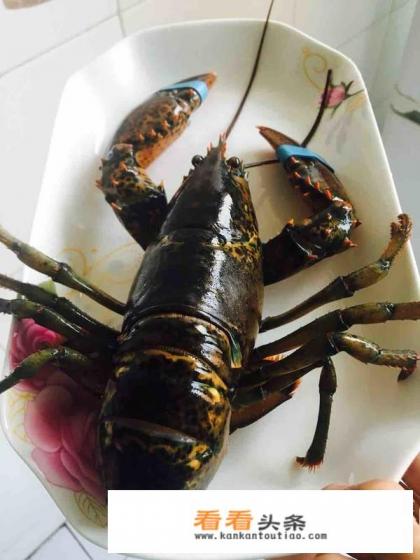波士顿大龙虾做法是什么?