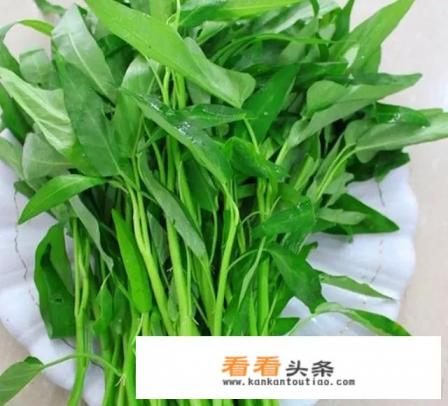 清炒空心菜的家常做法 清炒空心菜的家常做法