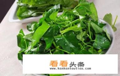 清炒空心菜的家常做法 清炒空心菜的家常做法