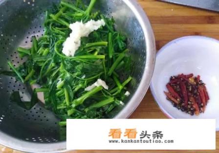 清炒空心菜的家常做法 清炒空心菜的家常做法